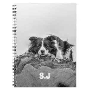 Carnet Bordure Collie