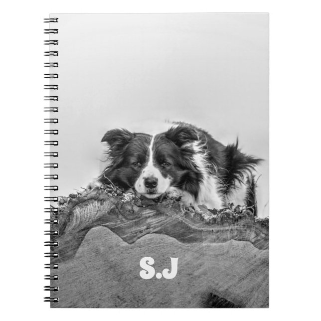 Carnet Bordure Collie (Devant)