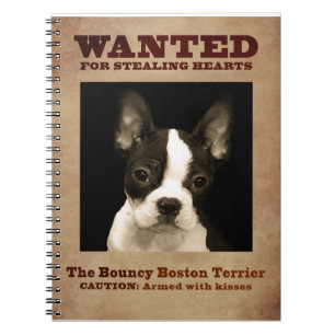 Carnet Boston plein d'entrain Terrier