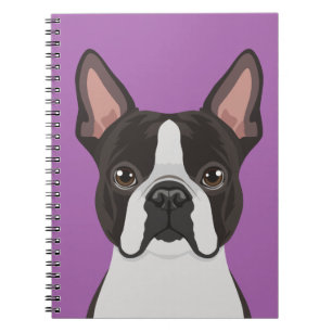Carnet Boston Terrier
