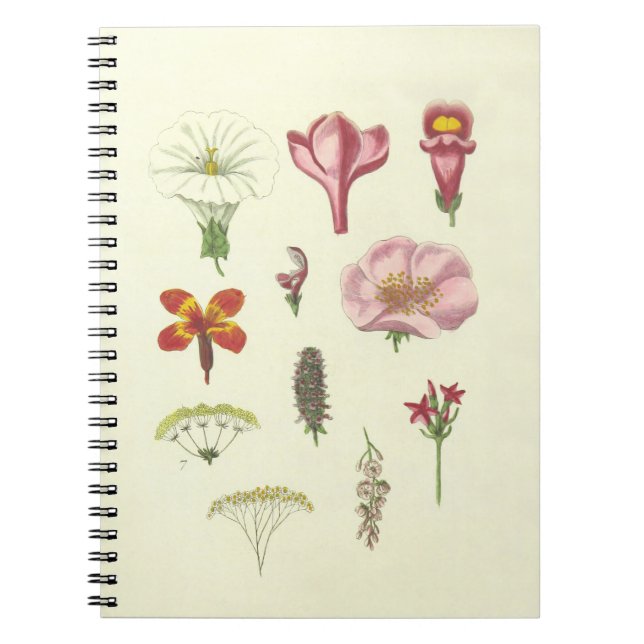 Carnet botanique (Devant)