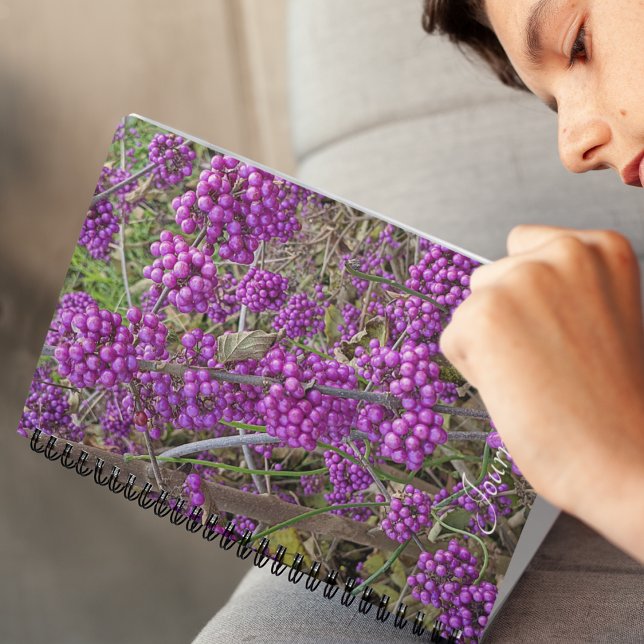 Carnet Botanique de Beautyberry d'Amérique pourpre (In Situ)