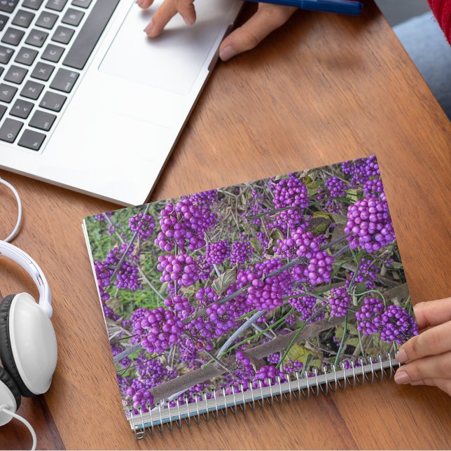 Carnet Botanique de Beautyberry d'Amérique pourpre (In Situ)