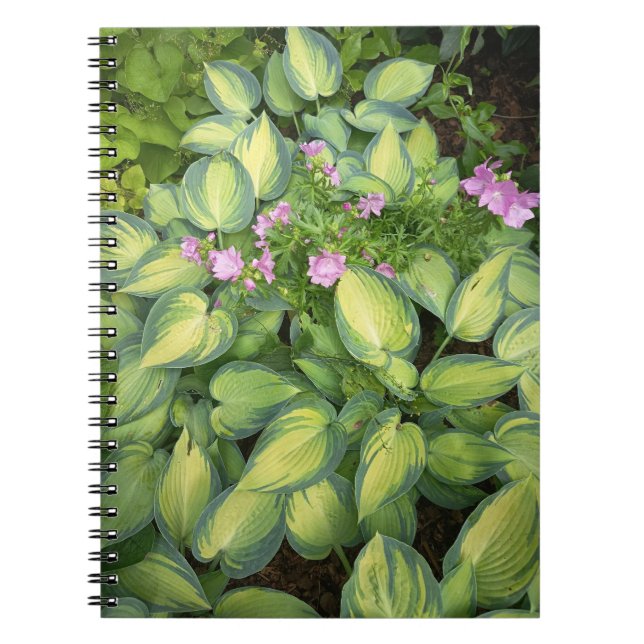 Carnet Botanique Fleur de la Passion Verte | Tropi (Devant)