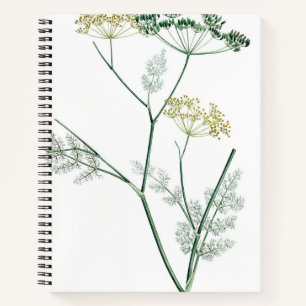 Carnet Botanique verte douce IV