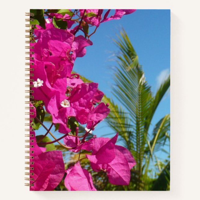 Carnet Bougainvillea and Palm Tree Tropical Nature Scene (Devant)