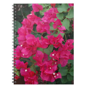 Carnet Bouganvillée