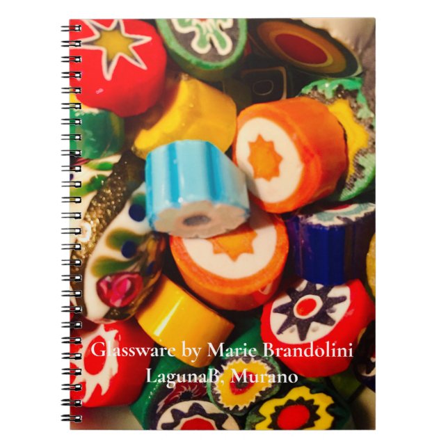Carnet BOUGION COMME DES PIÈCES MURINE utilisée par Marie (Devant)