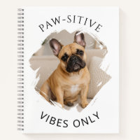 Bouledogue français vibrations positives uniquemen