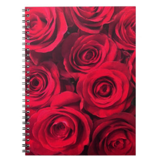 Carnet Bouquet de roses rouges de la passion