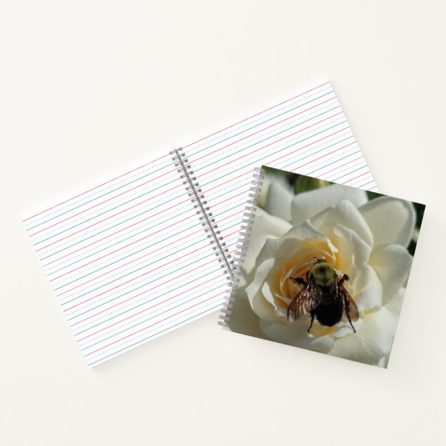 Carnet Bourdon et Rose Blanche (Intérieur)