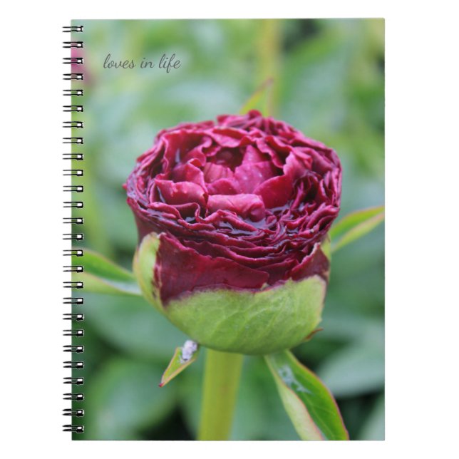 Carnet Bourgogne Peony Bud (Devant)