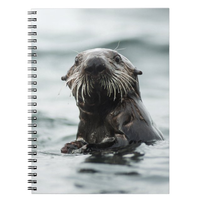 Carnet Bouton (Devant)