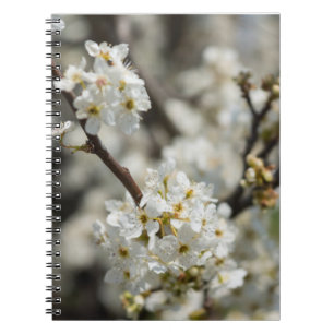 Carnet Bradford Sélection Focus
