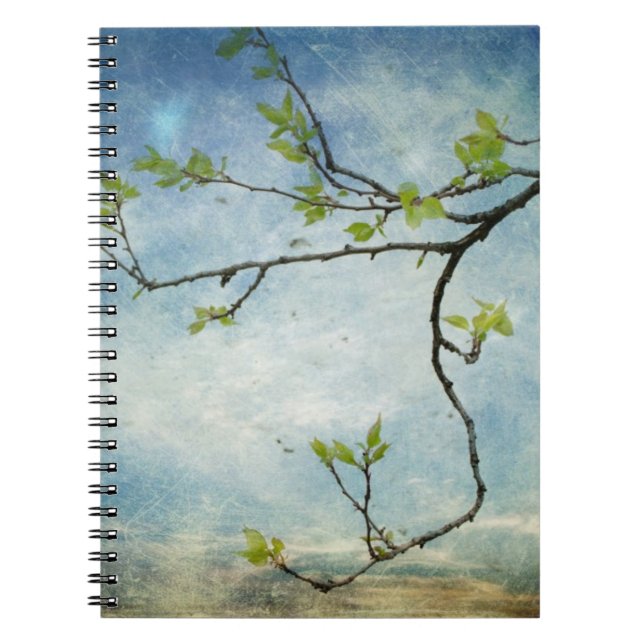 Carnet Branche d'arbre au-dessus de ciel texturisé (Devant)