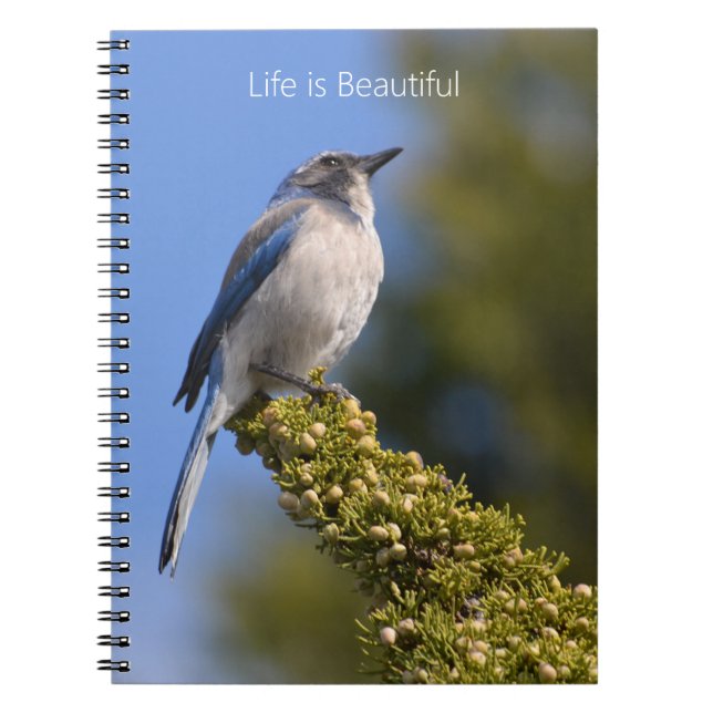 Carnet Branche d'arbre avec oiseau bleu (ma photographie) (Devant)