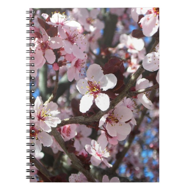 Carnet Branche de fleurs roses Printemps Floral (Devant)