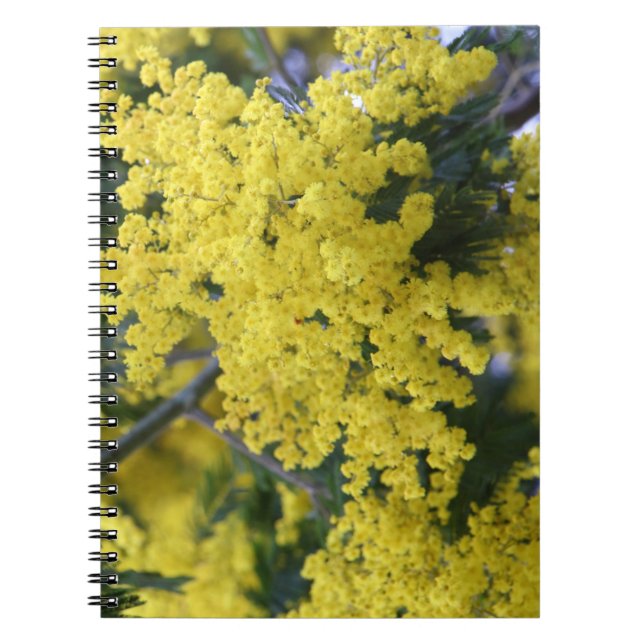 Carnet Branche de mimosa (Devant)