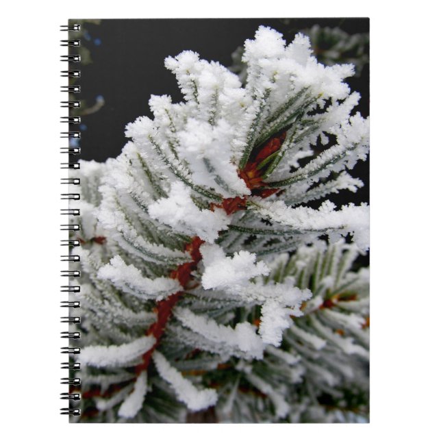 Carnet Branche de pin givré dramatique (Devant)