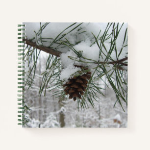 Carnet Branche des pins neigeux Photographie de la nature