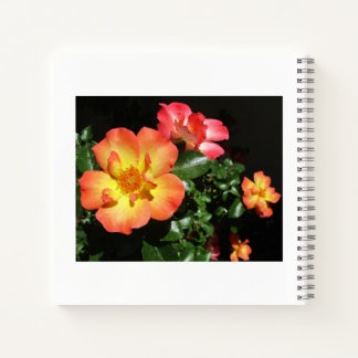 Carnet Bright Orange Roses - Dark Aspect Spiral Notebook
