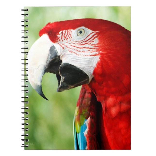 Carnet Brilliant Red (Devant)