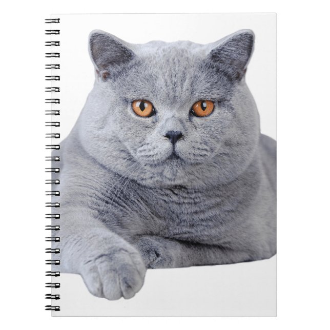 Carnet British shorthair (Devant)