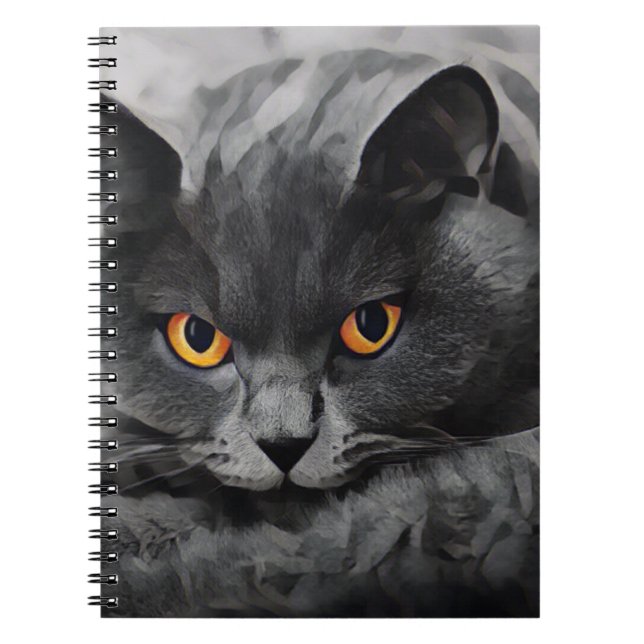 Carnet British Shorthair Kitty (Devant)