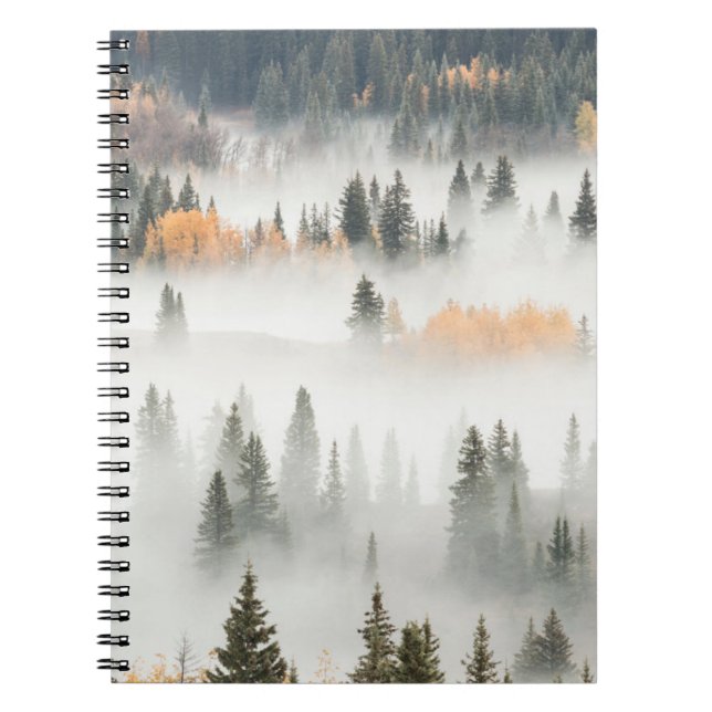 Carnet Brouillard matinal au sol couvrant la forêt de mon (Devant)