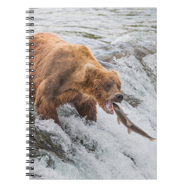 Carnet Brown Bear Catches Red Salmon (Devant)