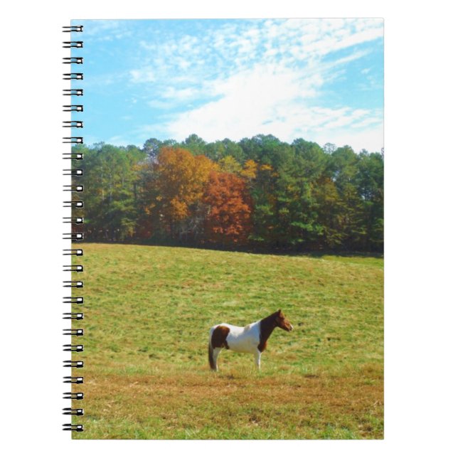 Carnet Brown & cheval blanc, arbres d'automne, ciel bleu (Devant)
