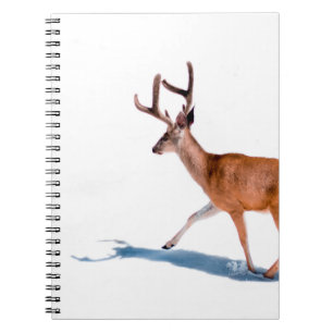 Carnet Brown DEER SUR ARRIÈRE - PLAN BLANC