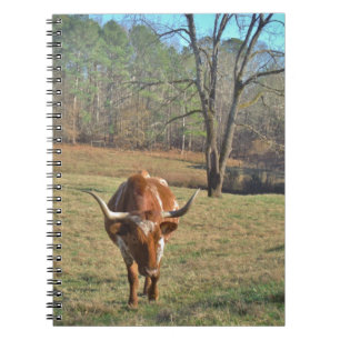 Carnet Brown et blanc Longhorn Bull Blue Sky