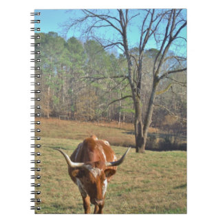 Carnet Brown et blanc Longhorn Bull Blue Sky