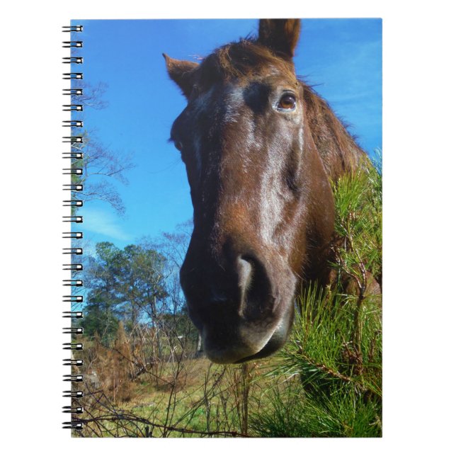 Carnet Brown et crème Couleur Cheval bleu ciel (Devant)