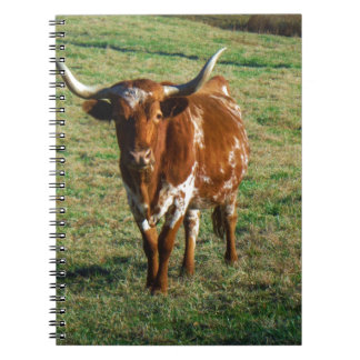 Carnet Brown et Longhorn blanc Taureau