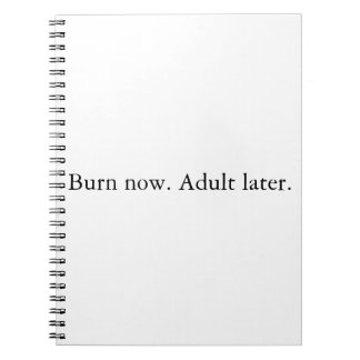 Carnet Brûlez maintenant. Devenez adulte plus tard.