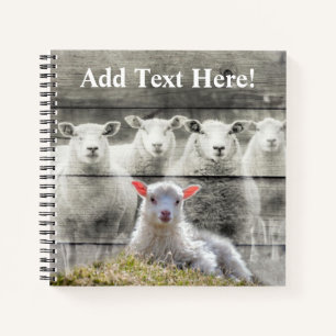 Carnet Brûlure d'agneau de bébé à mouton rustique