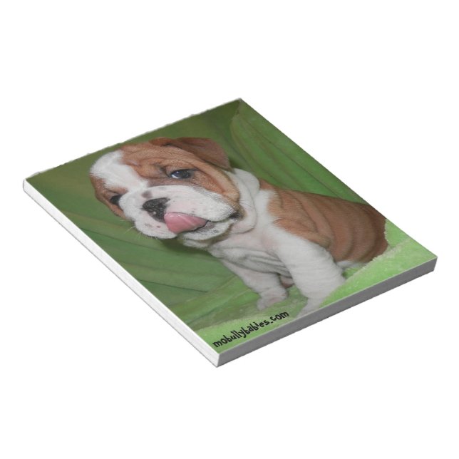 Carnet Brute Amour Bouledogue (Incliné)