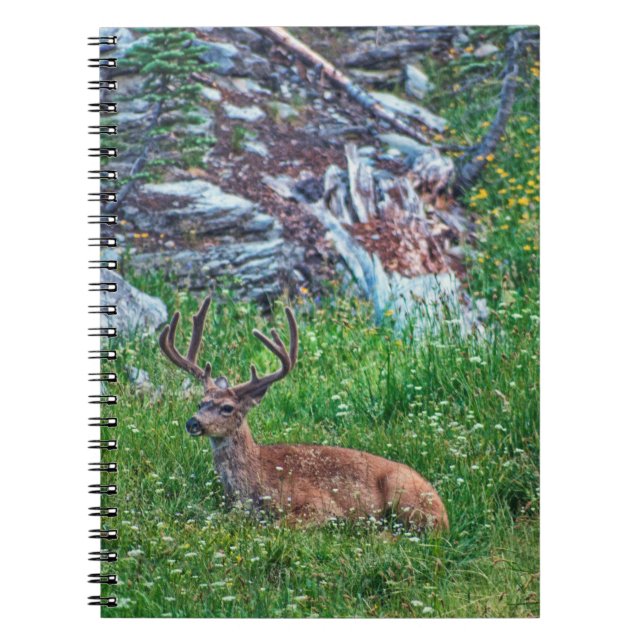 Carnet Buck de lit (Devant)