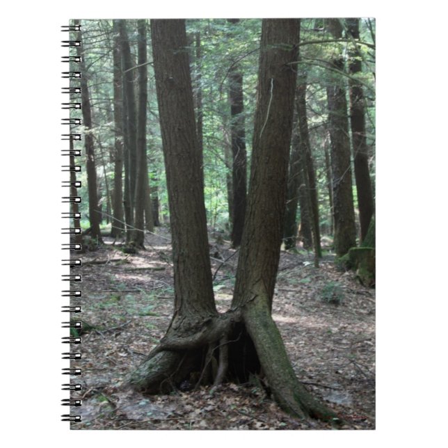 Carnet Buddy Trees (Devant)