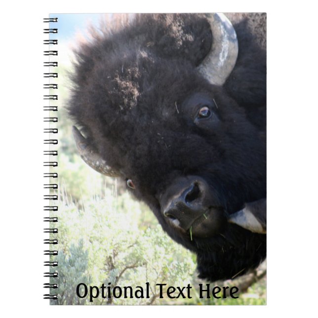 Carnet Buffle américain dans le parc national de Yellowst (Devant)