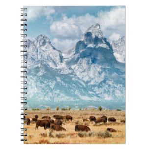 Carnet Buffle sous les montagnes du Grand Teton