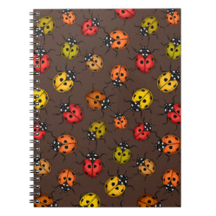 Carnet Bugs colorés sur brun