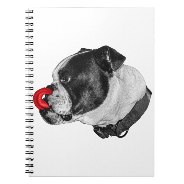Carnet Bulldog Red Accent Notes (Devant)
