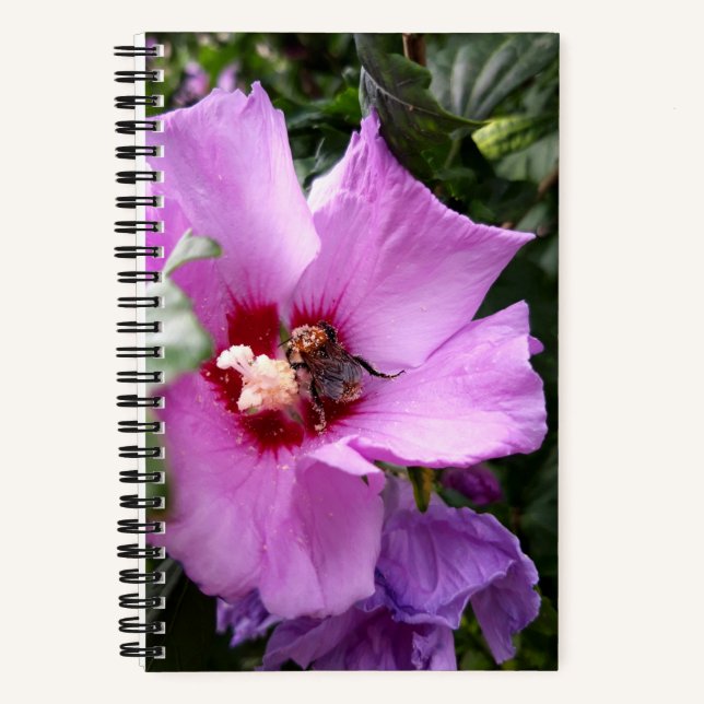 Carnet Bumblebebe sur la fleur d'Hibiscus (Recto)