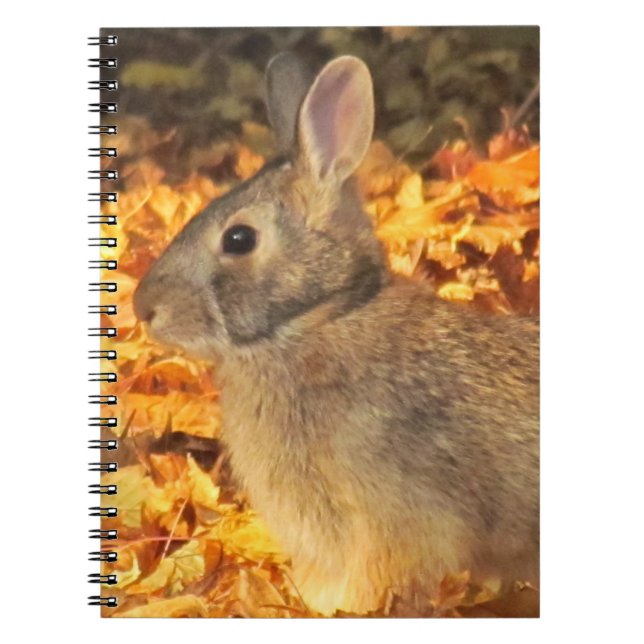 Carnet Bunny d'automne (Devant)