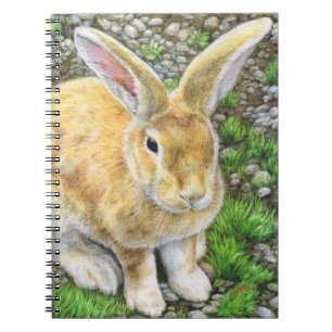 Carnet Bunny Pastel