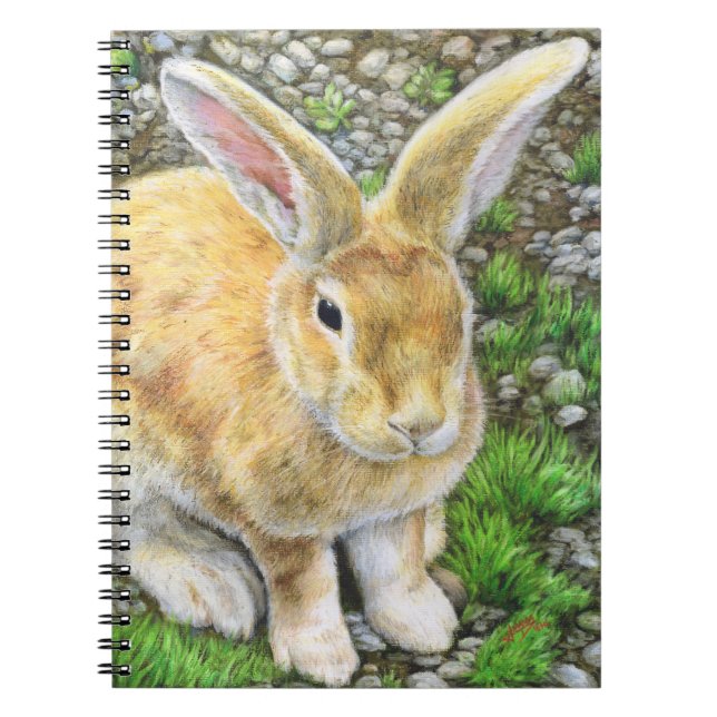 Carnet Bunny Pastel (Devant)