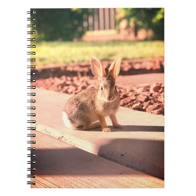 Carnet bunny rabbit photo Easter spring (Devant)
